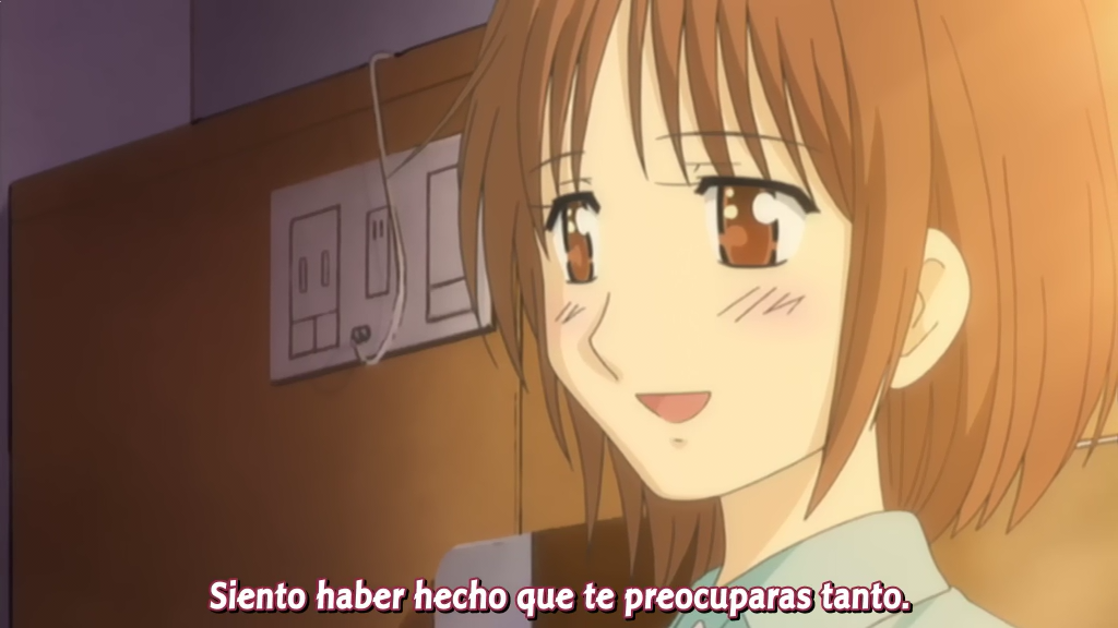 Naisho no Tsubomi (Nanikano Fansub)